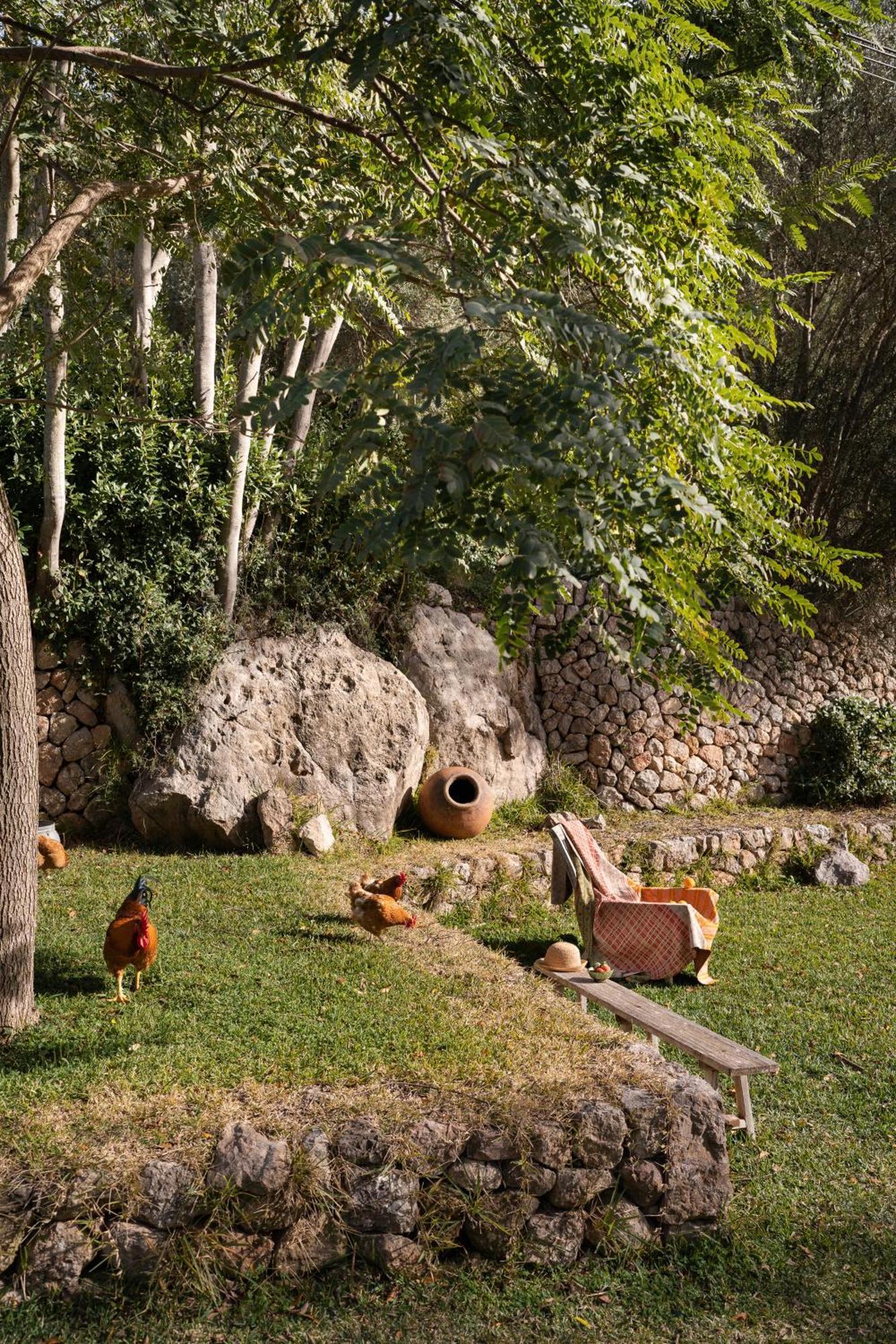ולדמוסה Agroturismo Son Viscos מראה חיצוני תמונה